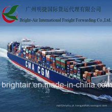 Preços baratos LCL Marinha Expedição / Contêineres Transporte Da China para a Eslovénia